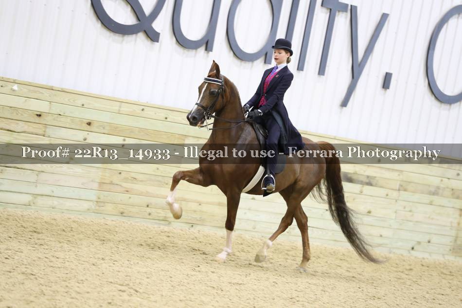 Proof 22R13_14933