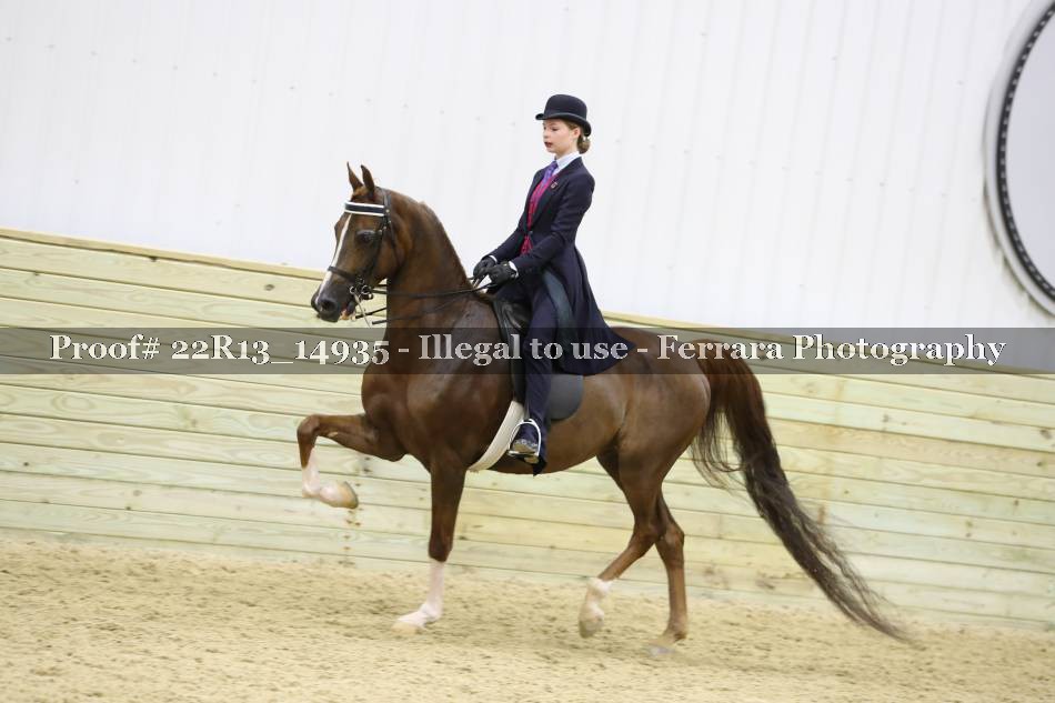 Proof 22R13_14935