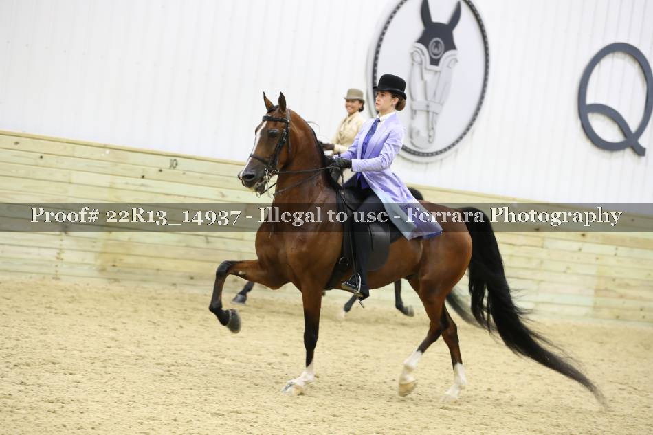 Proof 22R13_14937