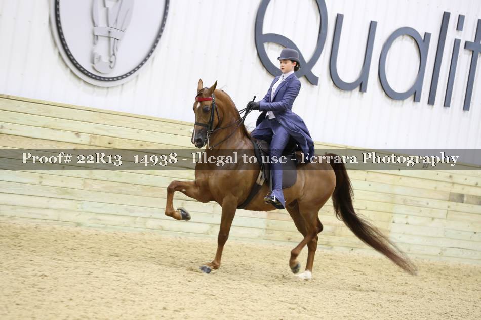 Proof 22R13_14938