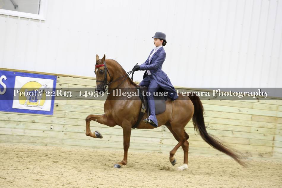 Proof 22R13_14939