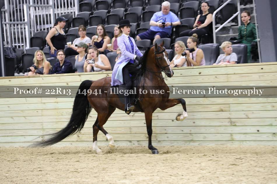 Proof 22R13_14941