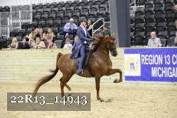22R13_14943 proof