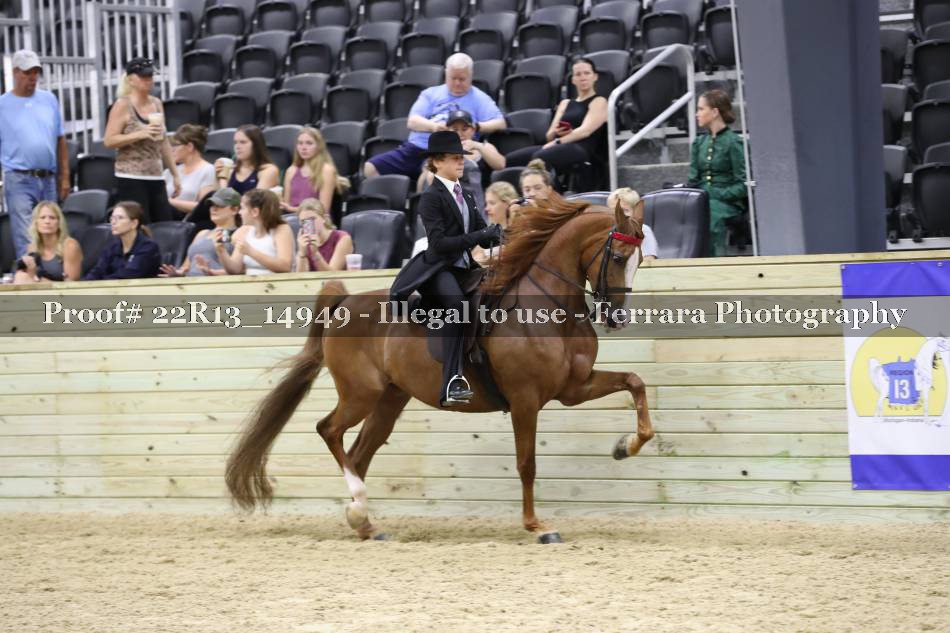Proof 22R13_14949