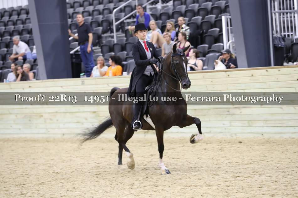 Proof 22R13_14951