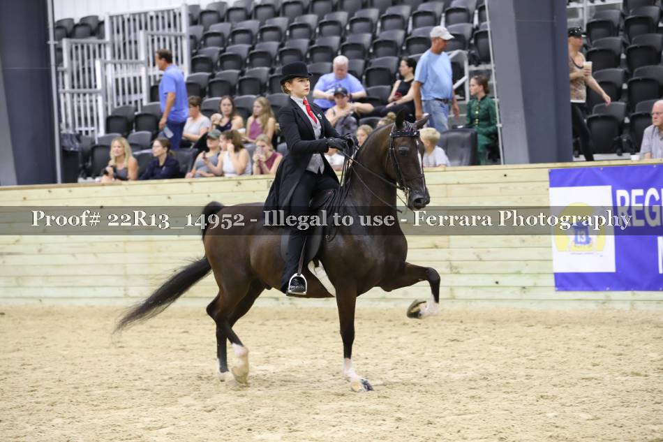 Proof 22R13_14952