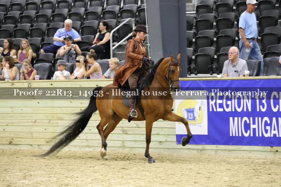 Proof 22R13_14953