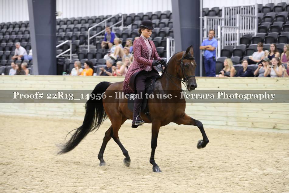 Proof 22R13_14956
