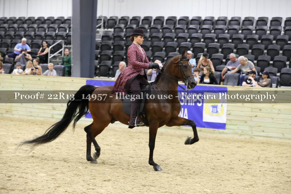 Proof 22R13_14957