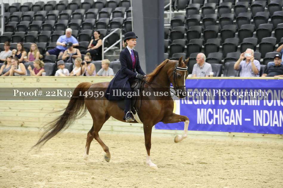 Proof 22R13_14959