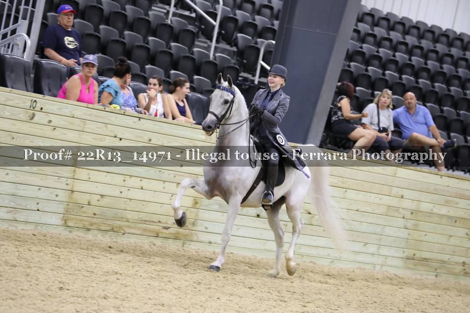 Proof 22R13_14971