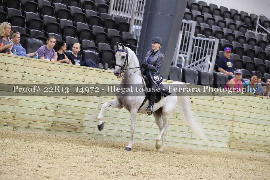 Proof 22R13_14972