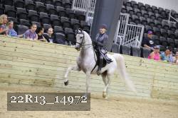 22R13_14972 proof