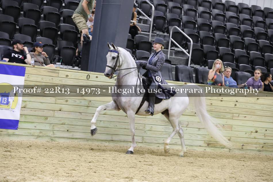 Proof 22R13_14973