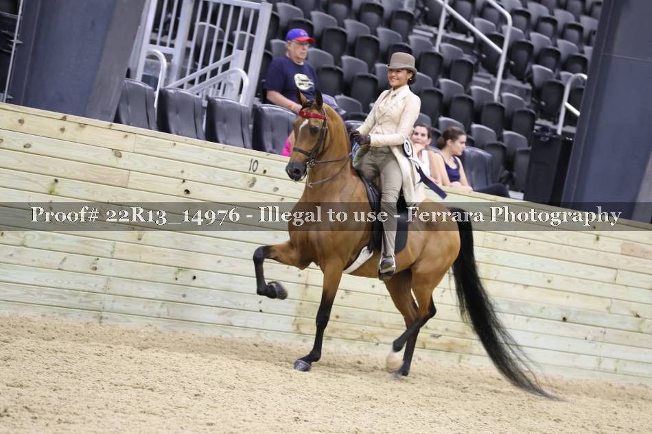Proof 22R13_14976