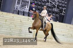 22R13_14976 proof