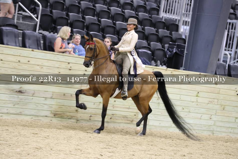 Proof 22R13_14977
