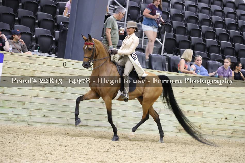 Proof 22R13_14978