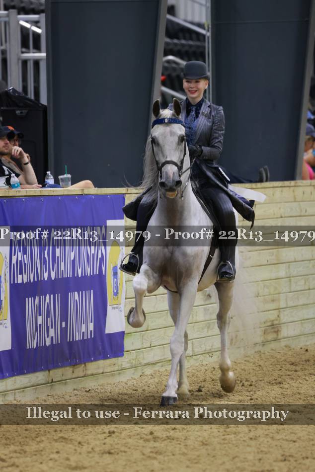 Proof 22R13_14979