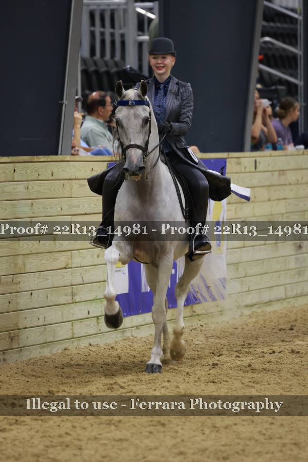 Proof 22R13_14981