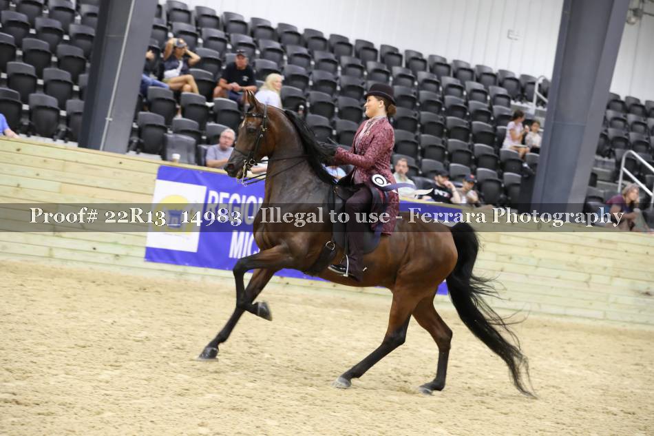 Proof 22R13_14983