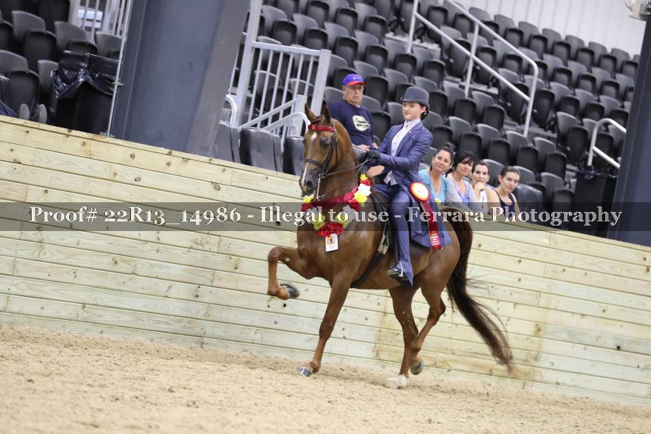 Proof 22R13_14986