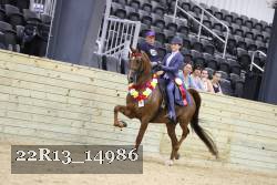 22R13_14986 proof