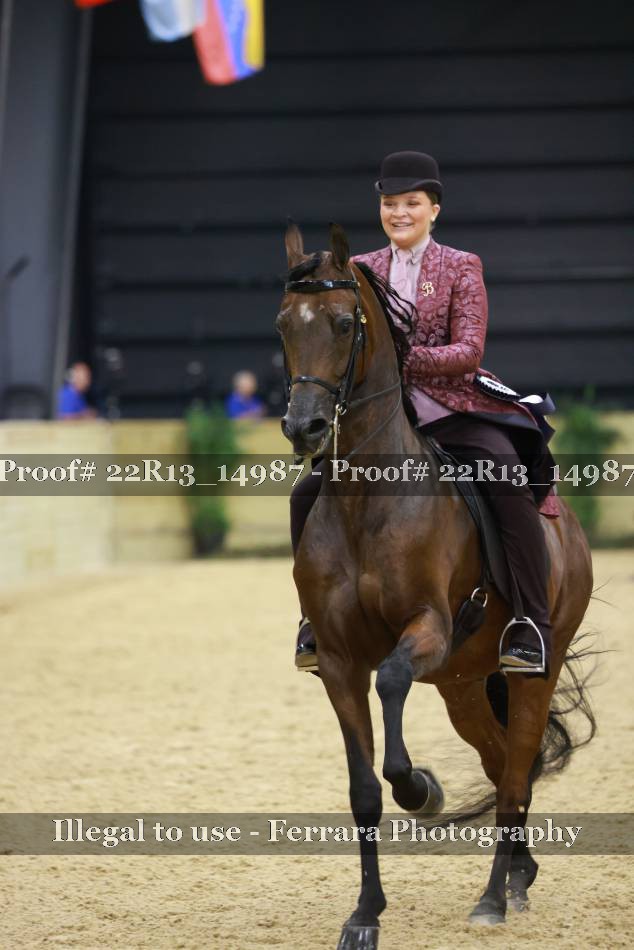 Proof 22R13_14987