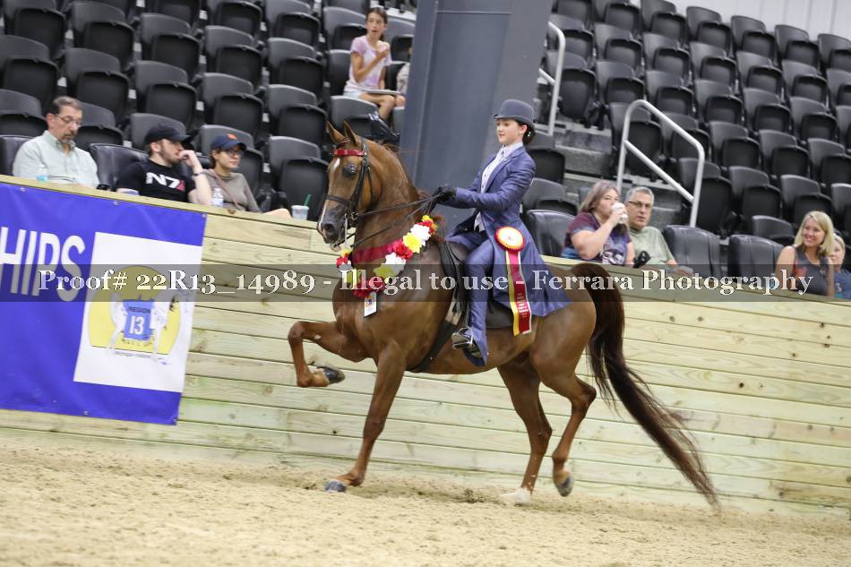 Proof 22R13_14989