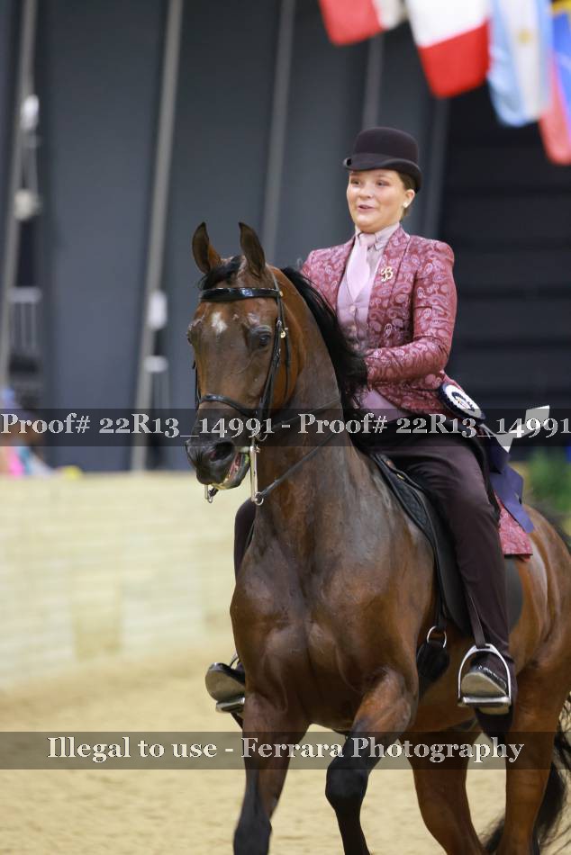 Proof 22R13_14991