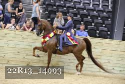 22R13_14993 proof