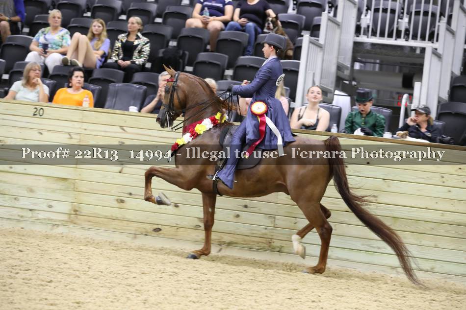 Proof 22R13_14994