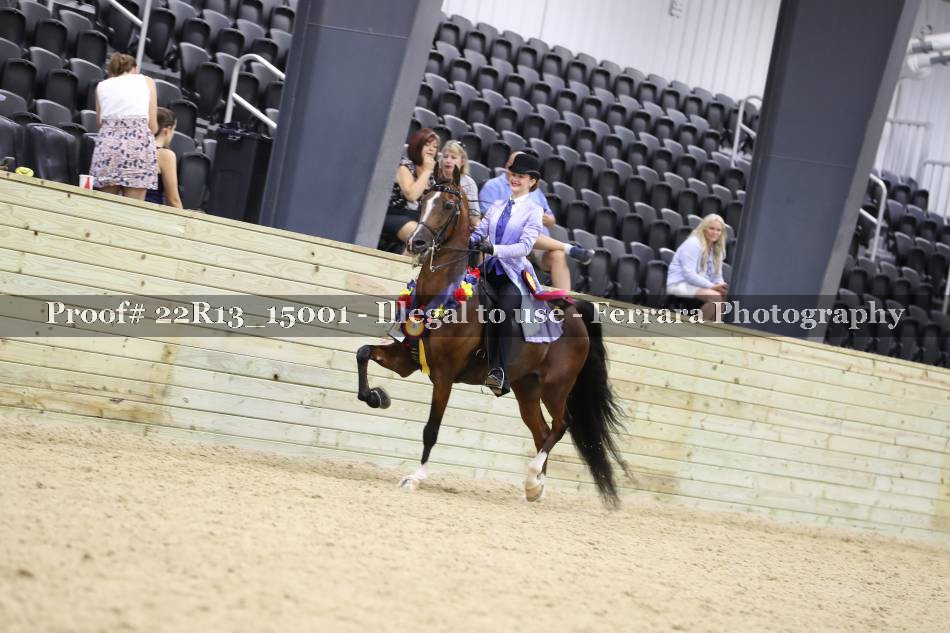 Proof 22R13_15001