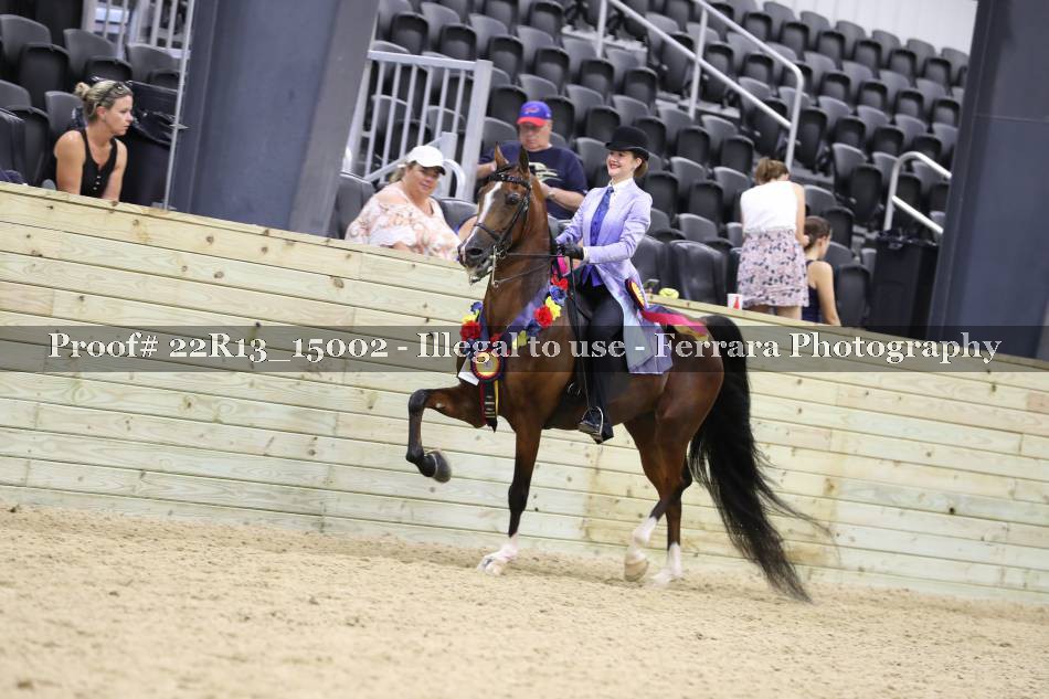 Proof 22R13_15002