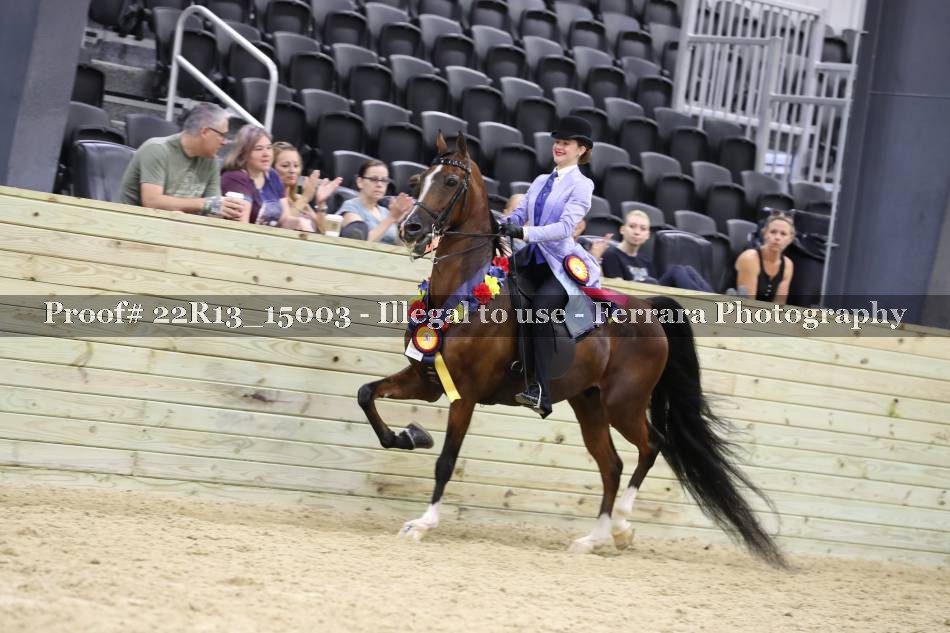 Proof 22R13_15003