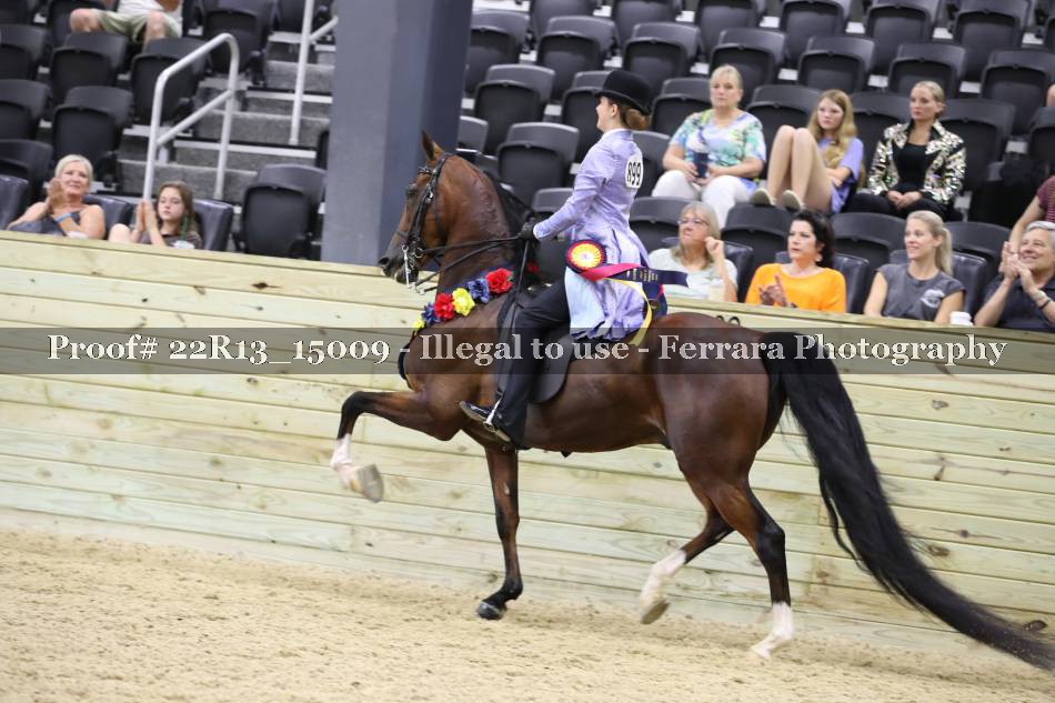 Proof 22R13_15009