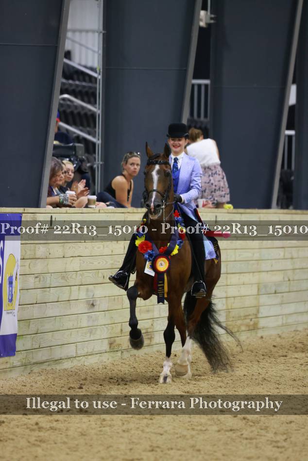 Proof 22R13_15010
