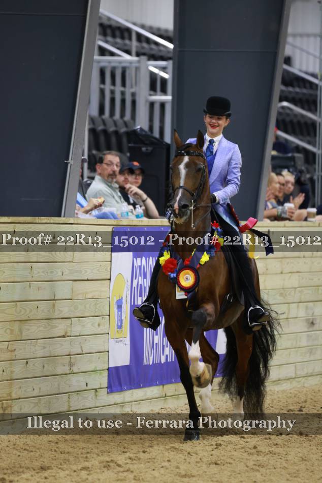 Proof 22R13_15012