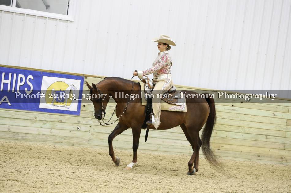 Proof 22R13_15017