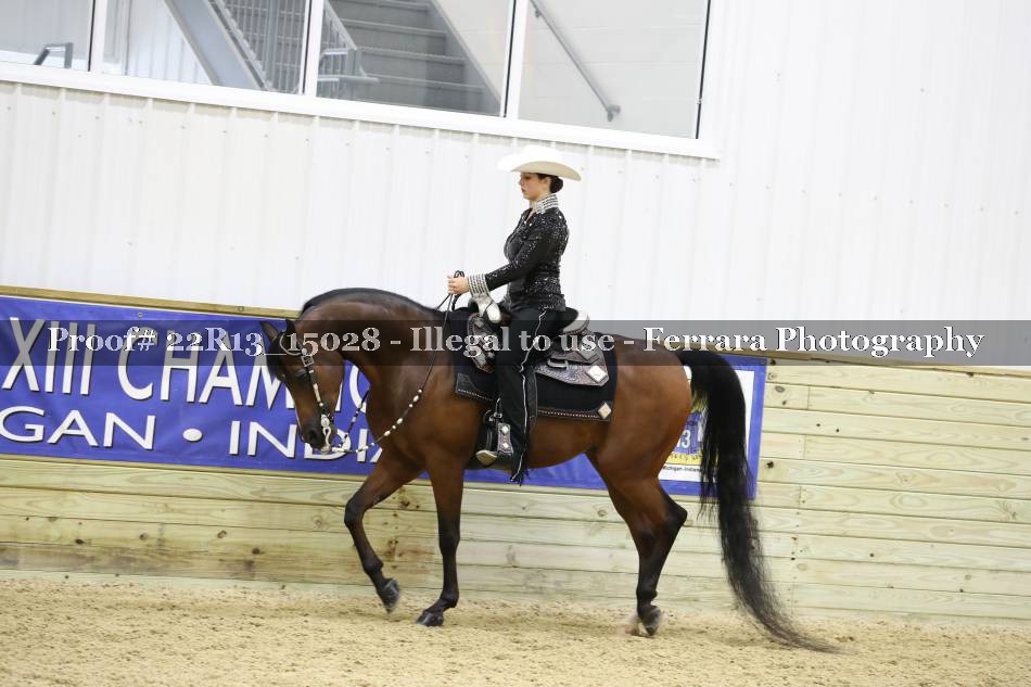 Proof 22R13_15028