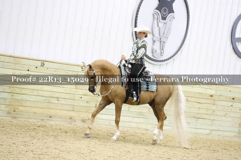 Proof 22R13_15029