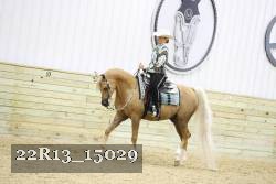 22R13_15029 proof