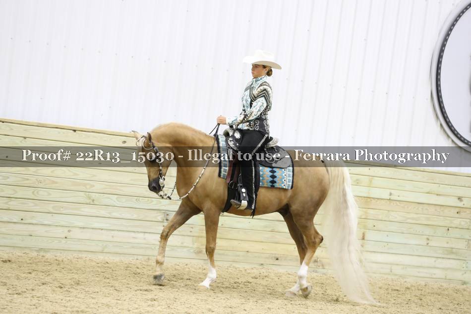 Proof 22R13_15030