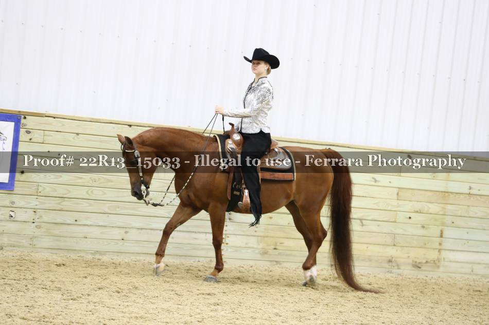 Proof 22R13_15033
