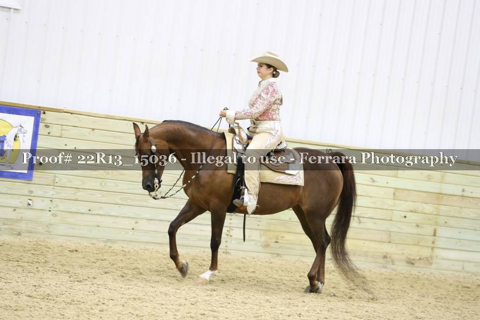 Proof 22R13_15036