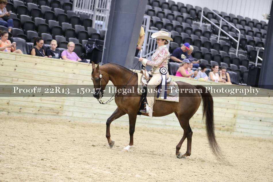 Proof 22R13_15047