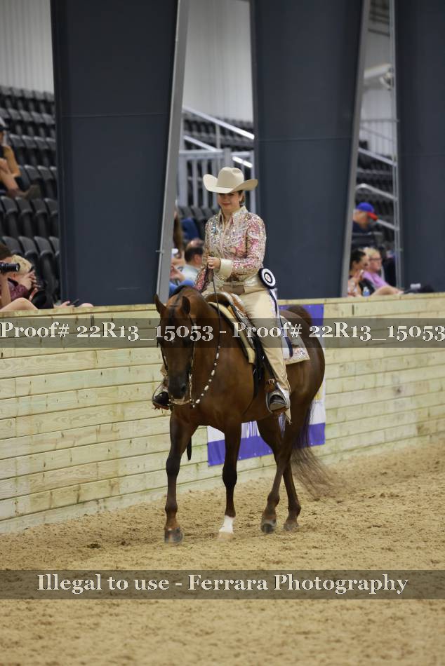 Proof 22R13_15053