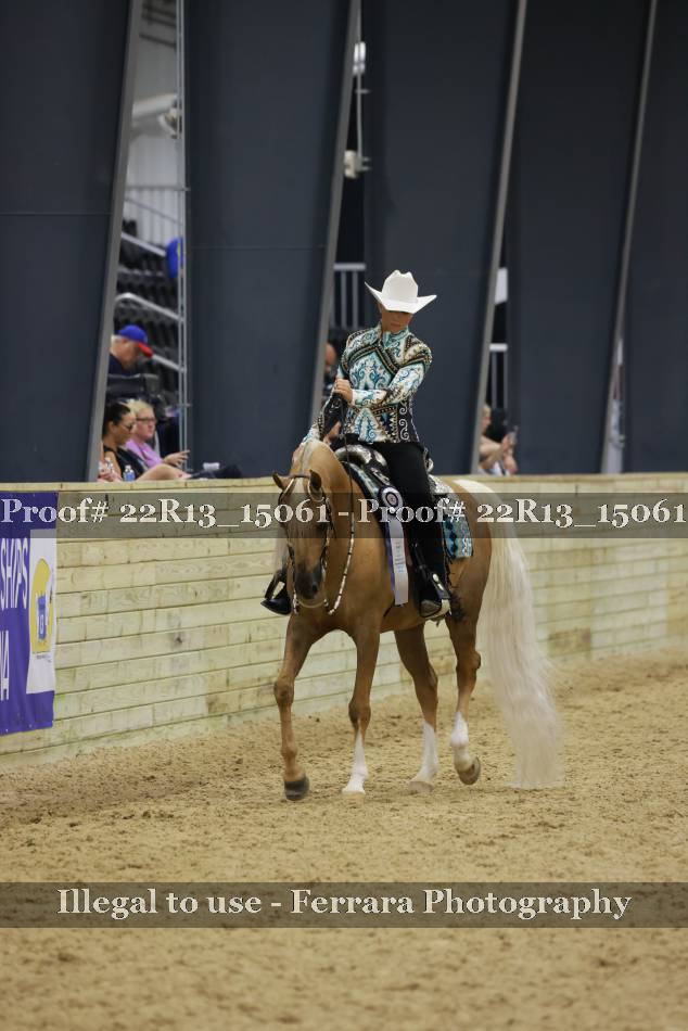 Proof 22R13_15061