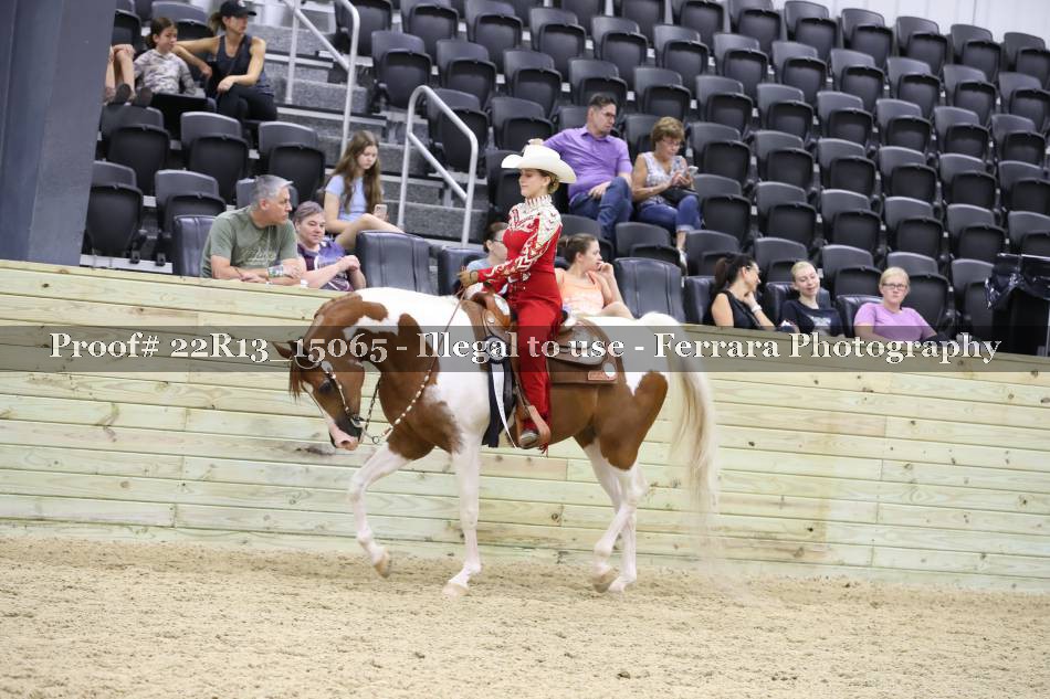 Proof 22R13_15065