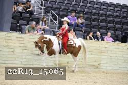22R13_15065 proof